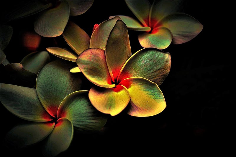 Dimensional Shifts Image